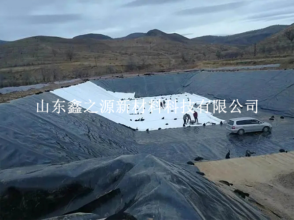 養(yǎng)殖防滲膜可提升魚蝦養(yǎng)殖質(zhì)量廣受關注